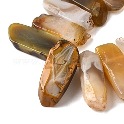 Природные Ботсвана агат бисер нитей&nbsp;G-S386-D02