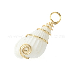 Pendentifs en coquille de trompette naturelle&nbsp;PALLOY-JF02794-01