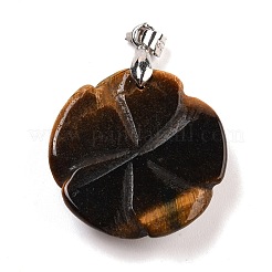 Природных тигровый глаз подвески&nbsp;G-I319-02P-04