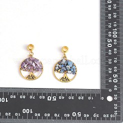 20 шт. 4 стиля натуральный смешанный каменный чип европейские подвески с подвесками&nbsp;G-SZ0002-18