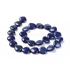 Lapis naturali cuore lazuli perline fili&nbsp;X-G-M264-01