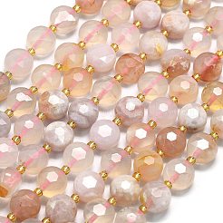 Натуральные вишневые агатовые бусины&nbsp;LS-G-C116-A148-01