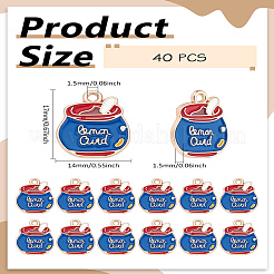 40 шт. Подвески из сплава с эмалью&nbsp;ENAM-LP0001-94