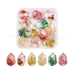 12шт 6 цвета подвески из смолы&nbsp;RESI-CD0001-08