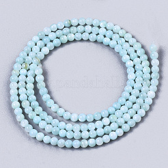 Natürlichen Süßwasser-Muschelperlen Stränge&nbsp;X-BSHE-T009-01C