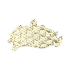 Подвески из сплава с эмалью на тему выпускного&nbsp;LS-ENAM-G226-01E