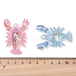 Гальваническое прозрачное уф-покрытие акриловые большие подвески&nbsp;OACR-I014-10