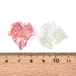 Прозрачные акриловые подвески&nbsp;OACR-N149-02