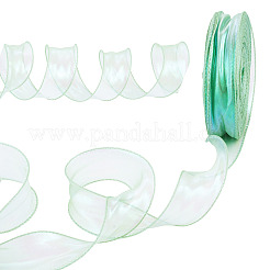 Lacci in poliestere&nbsp;DIY-TAC0010-51-1