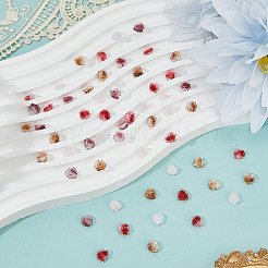 200 шт. 4-х цветные кабошоны из смолы-цветка&nbsp;MRMJ-CY0001-01