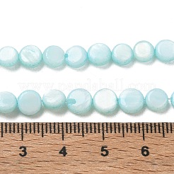 Hebras de cuentas de moneda de concha de agua dulce natural&nbsp;SH-CBACA76-17B