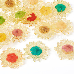 14шт 7 цвета подвески из полупрозрачной смолы&nbsp;RESI-TA0003-40