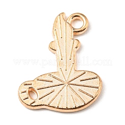 Emaille Anhänger Legierung&nbsp;LS-ENAM-G218-A01