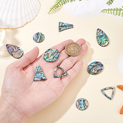 10 Stück 5 Stile natürliche Paua-Muschel-Cabochons&nbsp;FIND-GA0004-93