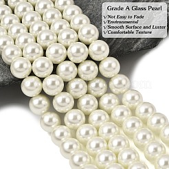 Круглые бусины из экологически чистого окрашенного стекла с жемчугом&nbsp;HY-A002-10mm-RB011