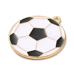 Подвески из эмали и сплава&nbsp;ENAM-R147-13B-G