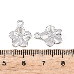 Anhänger aus 304 Edelstahl&nbsp;STAS-L317-02P