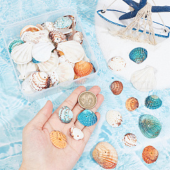 200 г наборы бусин из ракушек&nbsp;BSHE-NB0001-30