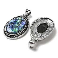 Естественно оболочки Пауа большие кулоны&nbsp;FIND-Z032-08A