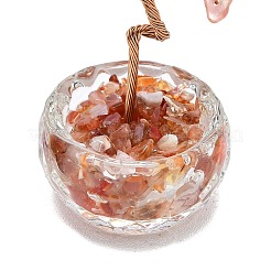 Украшения для витрин из натурального сердолика пахира голая&nbsp;DJEW-K025-04G