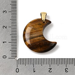 Природных тигровый глаз подвески&nbsp;G-A297-02G-04