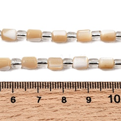 Нити бусин из натуральных трохоидных/трохус ракушек&nbsp;BSHE-A002-02B