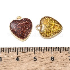 Emaille Anhänger Legierung&nbsp;FIND-A065-01G
