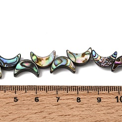 Colliers de perles en nacre d'ormeau naturelle&nbsp;SSHEL-M021-08A