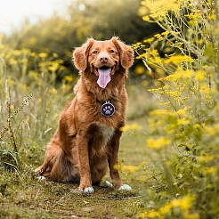 20шт 10 цвета эмалевые подвески&nbsp;ENAM-SZ0001-95