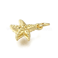 Латунь подвески&nbsp;ZIRC-I070-085G