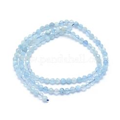 Natürliche Aquamarin Perlen Stränge&nbsp;G-E411-19B-2mm