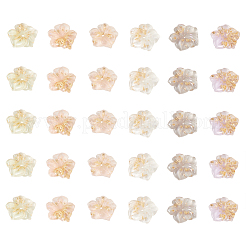 Cabochon in resina trasparente 30 pz 5 colori&nbsp;RESI-CJ0001-186