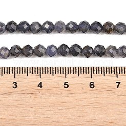Naturperlen Stränge iolite&nbsp;G-RM250101-D7