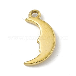 Pendentifs en acier inoxydable 304&nbsp;STAS-P316-19G