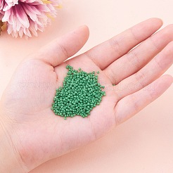 11/0 perline di vetro&nbsp;SEED-PH0003-04