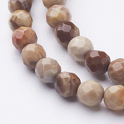 Natürliche versteinertes Holz Perlenstränge, facettiert (64 Facetten), Runde, 4~4.5 mm, Bohrung: 0.5 mm, ca. 88~98 Stk. / Strang, 14.5~15.1 Zoll (370~385 mm)
