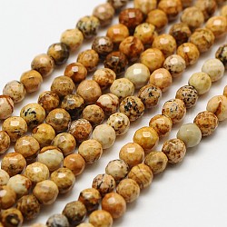 Chapelets de perles en jaspe avec images naturelles, ronde à facettes, 3mm, Trou: 0.8mm, Environ 136 pcs/chapelet, 16 pouce