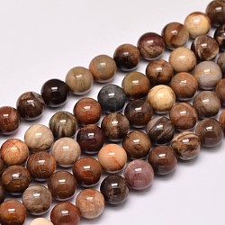 Natürliche versteinertes Holz runden Perle Stränge, 8 mm, Bohrung: 1 mm, ca. 47 Stk. / Strang, 15 Zoll