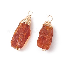 Pendentifs en ambre naturel, puces breloques, avec des boucles de cuivre, or clair, 10~29x8~11x7~10mm, Trou: 2~2.5mm