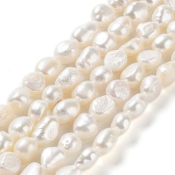 Fili di perle di perle d'acqua dolce coltivate naturali, due lati lucidati, grado 3a+, colore conchiglia, 8.5~10x8~9x7~9mm, Foro: 0.7 mm, circa 37~38pcs/filo, 13.58'' (34.5~36 cm)