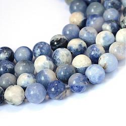 Chapelets de perle ronde en sodalite naturelle, 8~8.5mm, Trou: 1mm, Environ 47 pcs/chapelet, 15.5 pouce