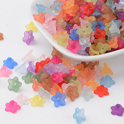 Transparent Acrylic Beads, Flower, Frosted, Mixed Color, 10x5mm, Hole: 1mm