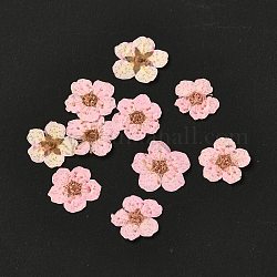 Нарцисс чеканка сушеные цветы, для мобильного телефона, фоторамки, скрапбукинг поделки своими руками, розовый жемчуг, 7 мм, 20 шт / коробка