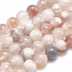 Chapelets de perles en agate naturelle de fleurs de cerisier, ronde, 10mm, Trou: 1mm, Environ 37 pcs/chapelet, 15 pouce (38 cm)