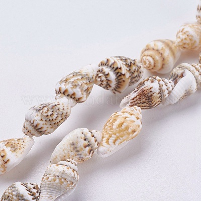 Wholesale Natural Sea Shell Beads Strands 