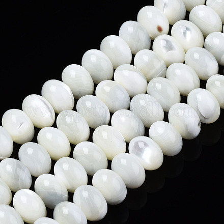 Coquilles de trochides naturelles/perles de coquilles de troca encadrent des brins SSHEL-S266-028-1