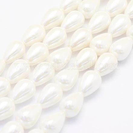 Chapelets de perles de coquille BSHE-P024-02-1