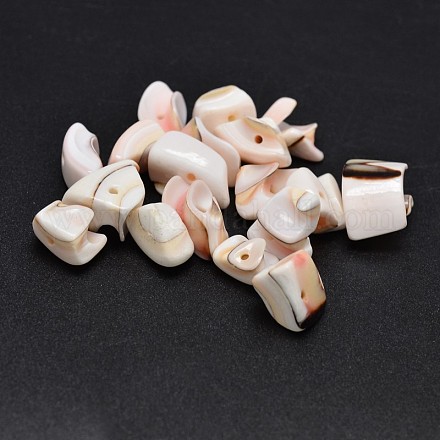 Perles de pépites de coquille naturelle BSHE-O007-37-1