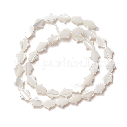 Natural Trochid Shell/Trochus Shell Beads SSHEL-O001-23A-1
