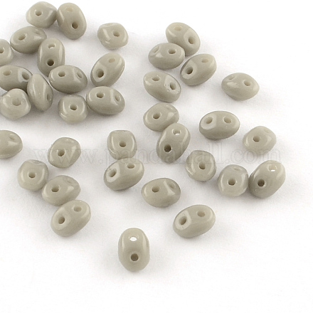 2-Hole Seed Beads GLAA-R159-43020-1